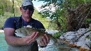Rob and Co, Rainbow trout May, Slovenia fly fishing S